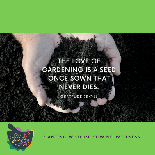 Cancer Support Community: Medicinal Gardening