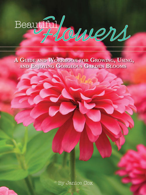 Beautiful Flowers