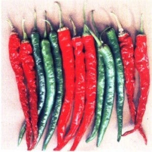 Hot Pepper-Mohini