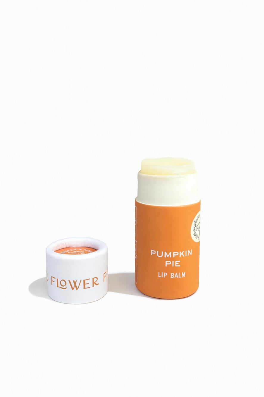 SEASONAL LIMITED Pumpkin Pie Organic Lip Balm