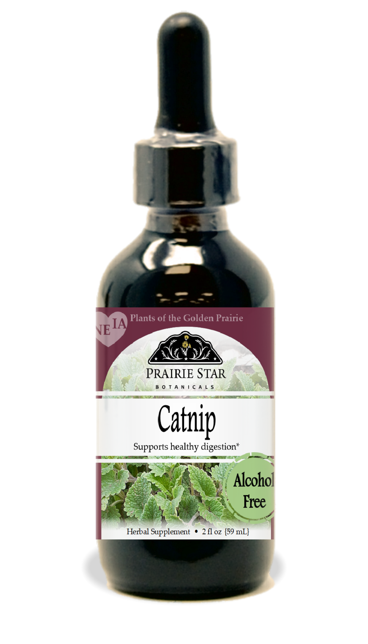 Catnip Tincture or Glycerite