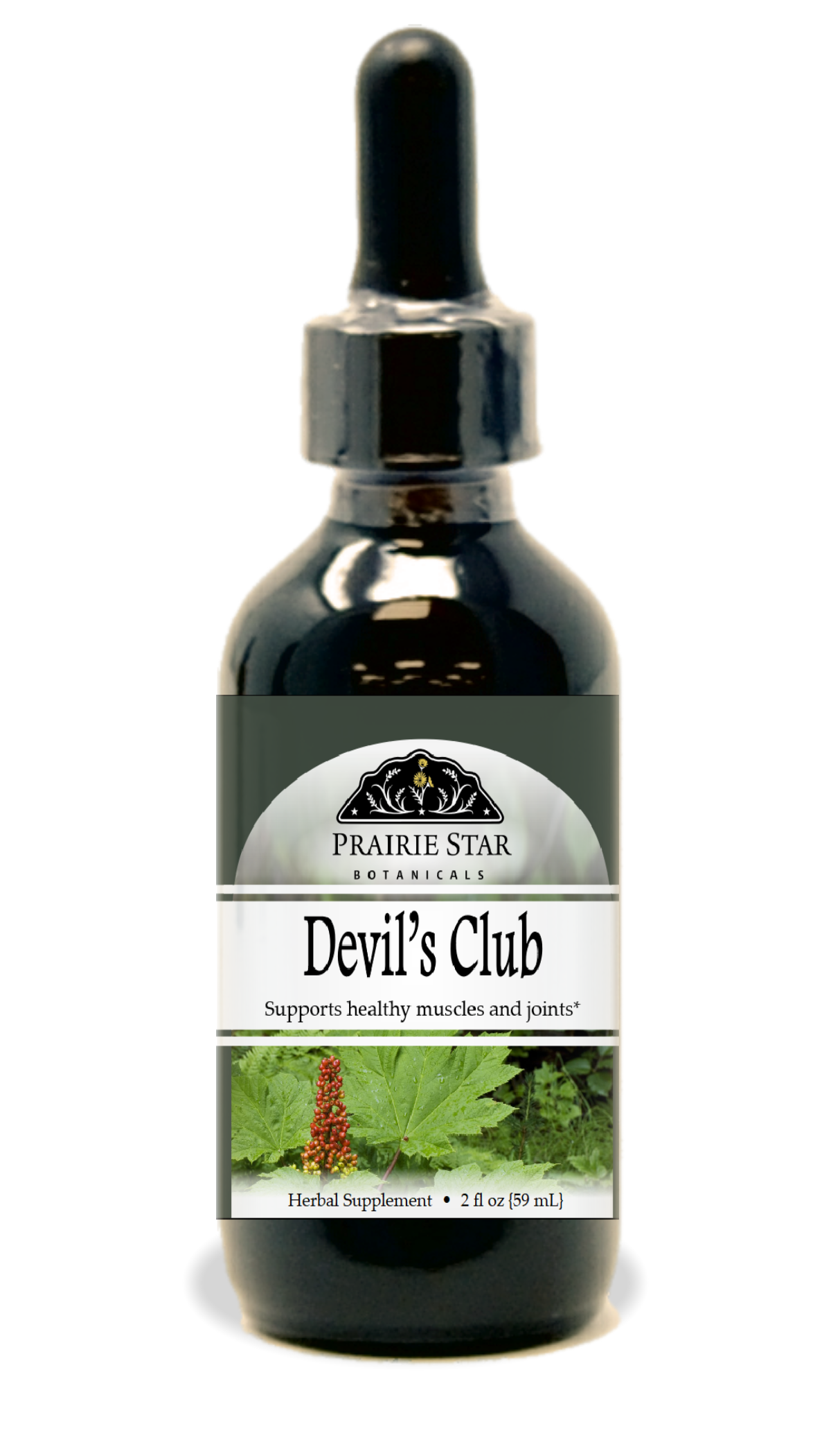 Devil's Club Tincture
