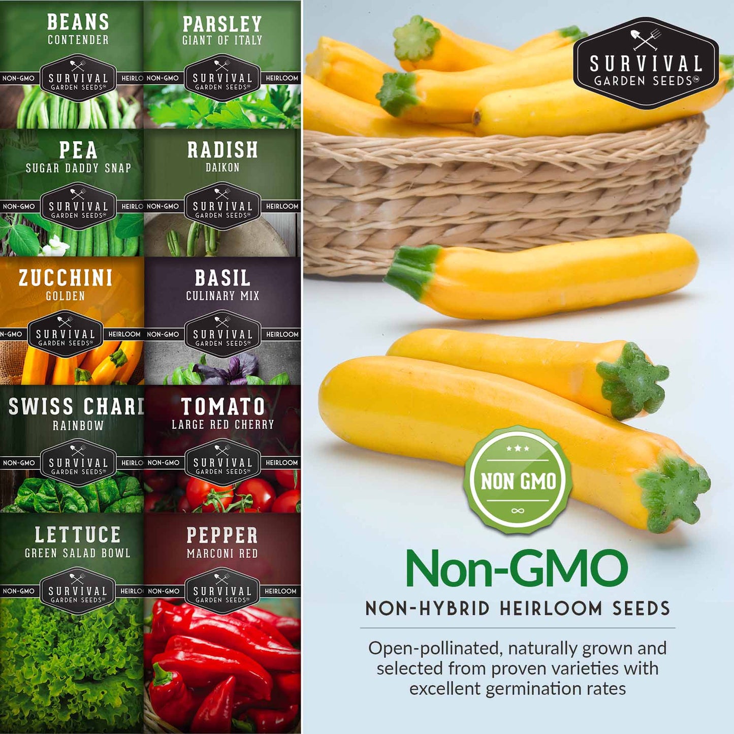 Easy-to-Grow Seed Collection - 10 Vegetable and Herb Seed Packets