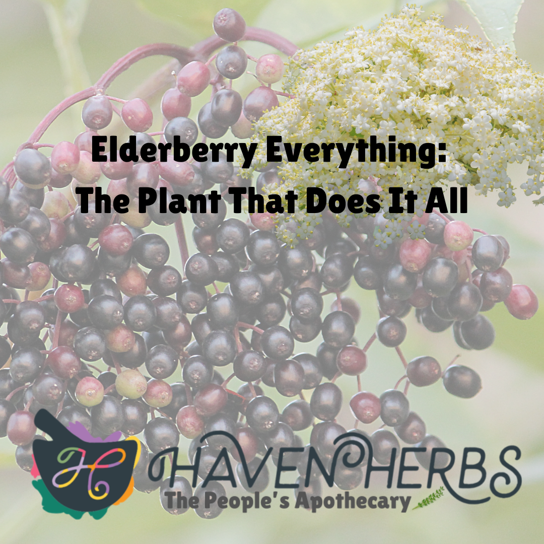 Elderberry Everything: The Plant That Does It All