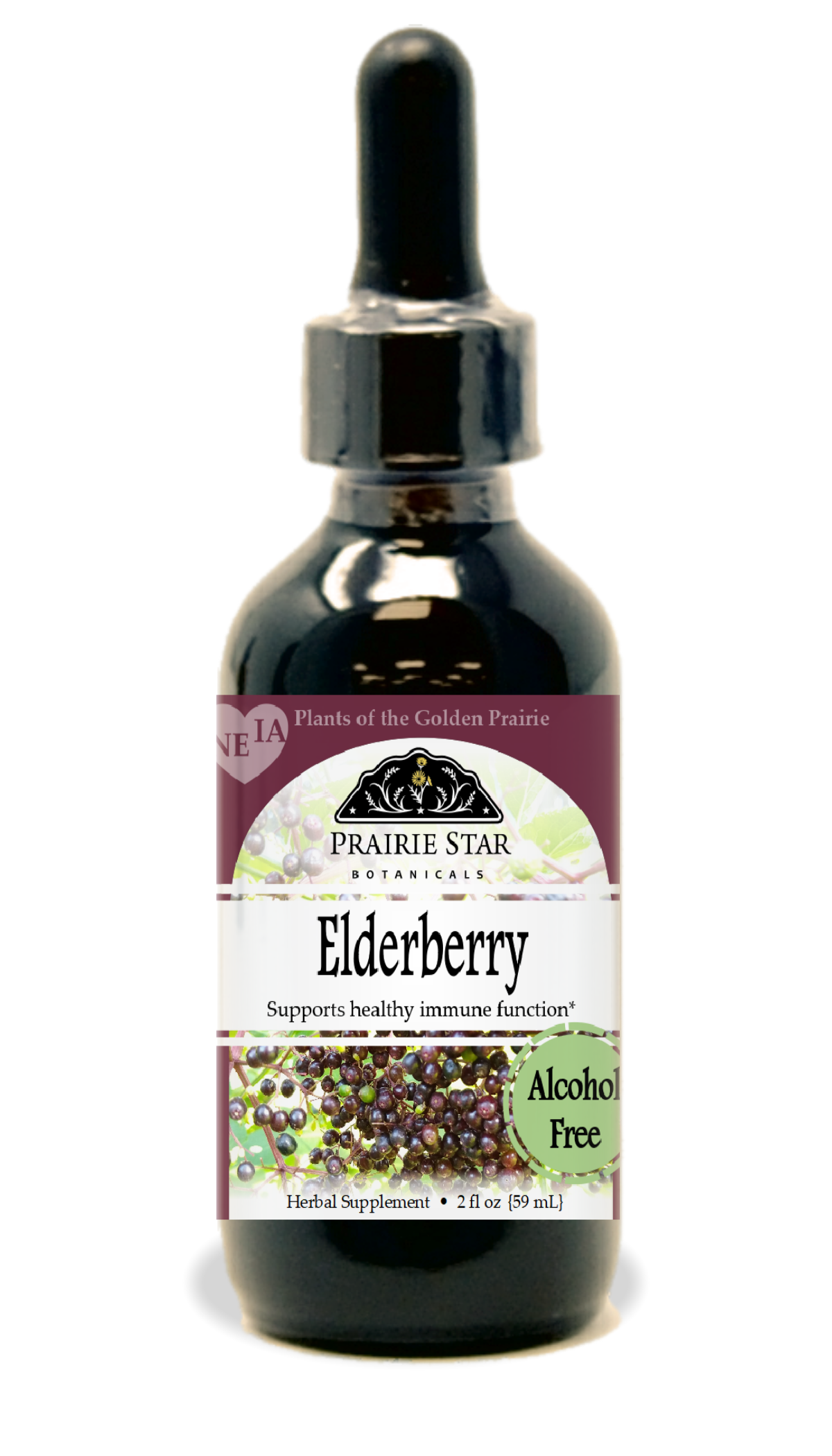Elderberry Tincture or Glycerite