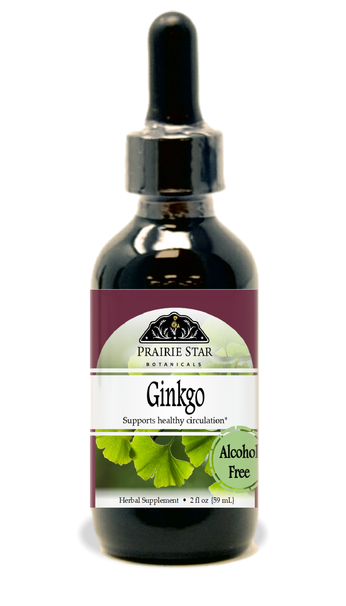 Ginkgo Tincture or Glycerite