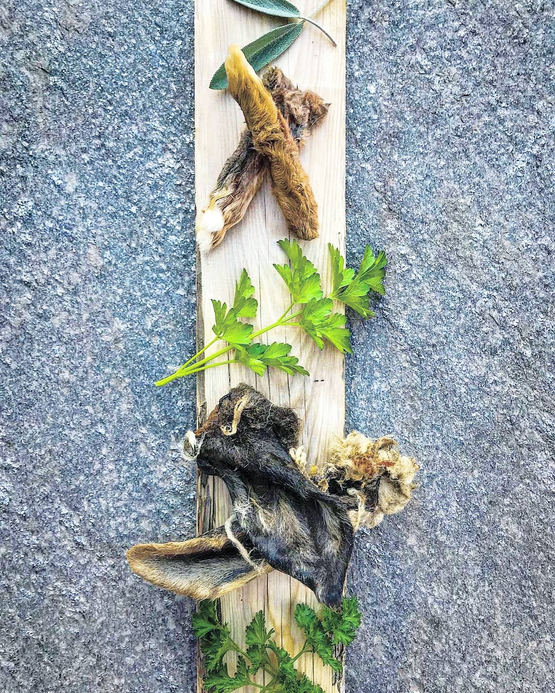 Lamb Ears (Furry & Non Fur)