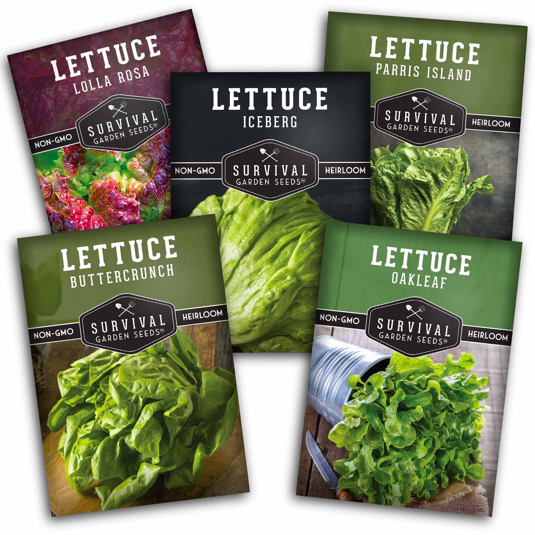 lolla rosa lettuce seeds Lettuce Seed Collection – 5 Heirloom Varieties for Year-Round Harvest –  Haven Herbs