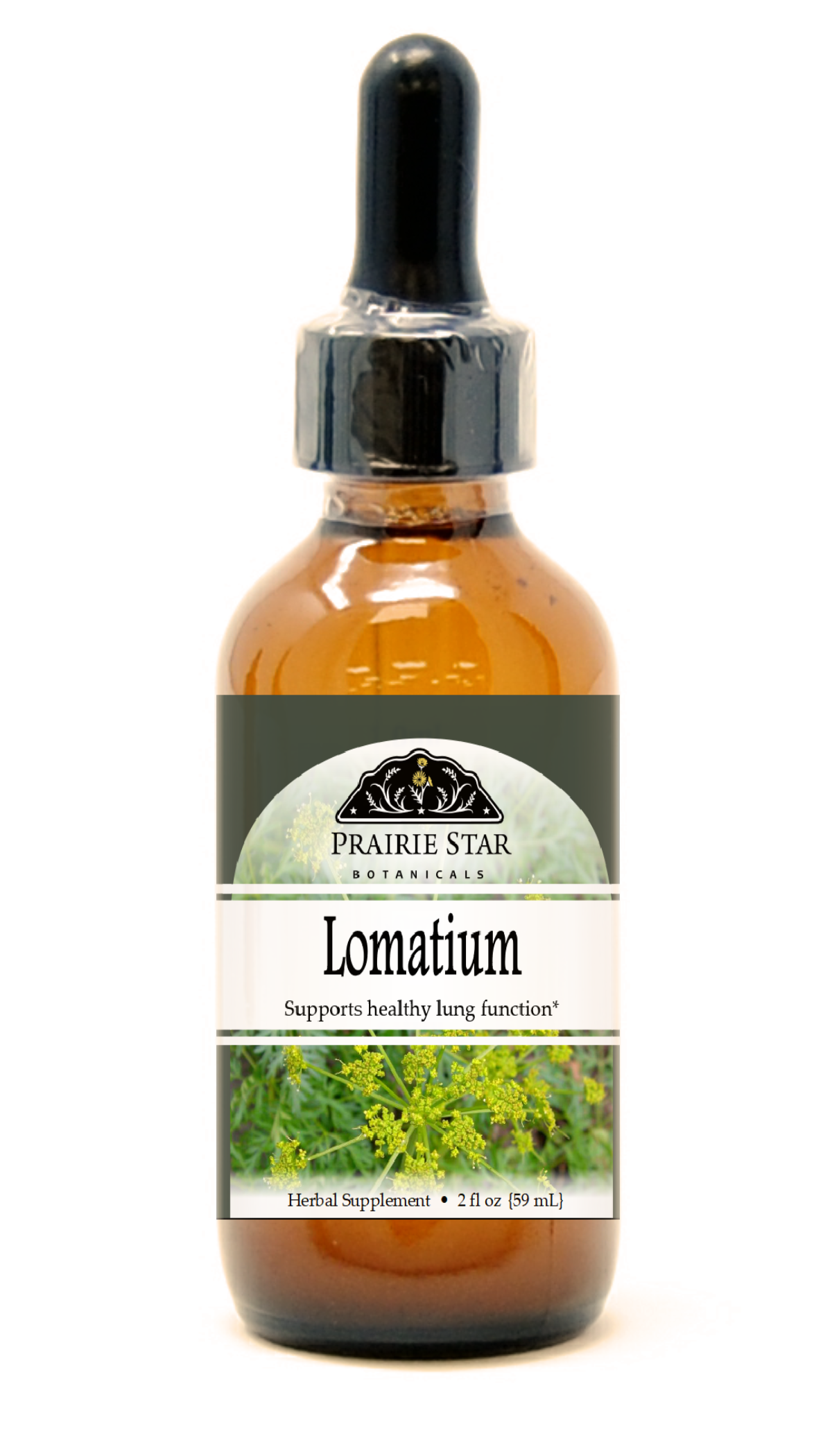 Lomatium Tincture