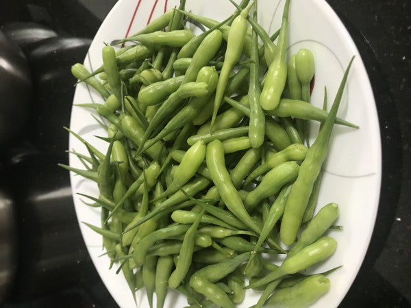Moongre-Radish Pods