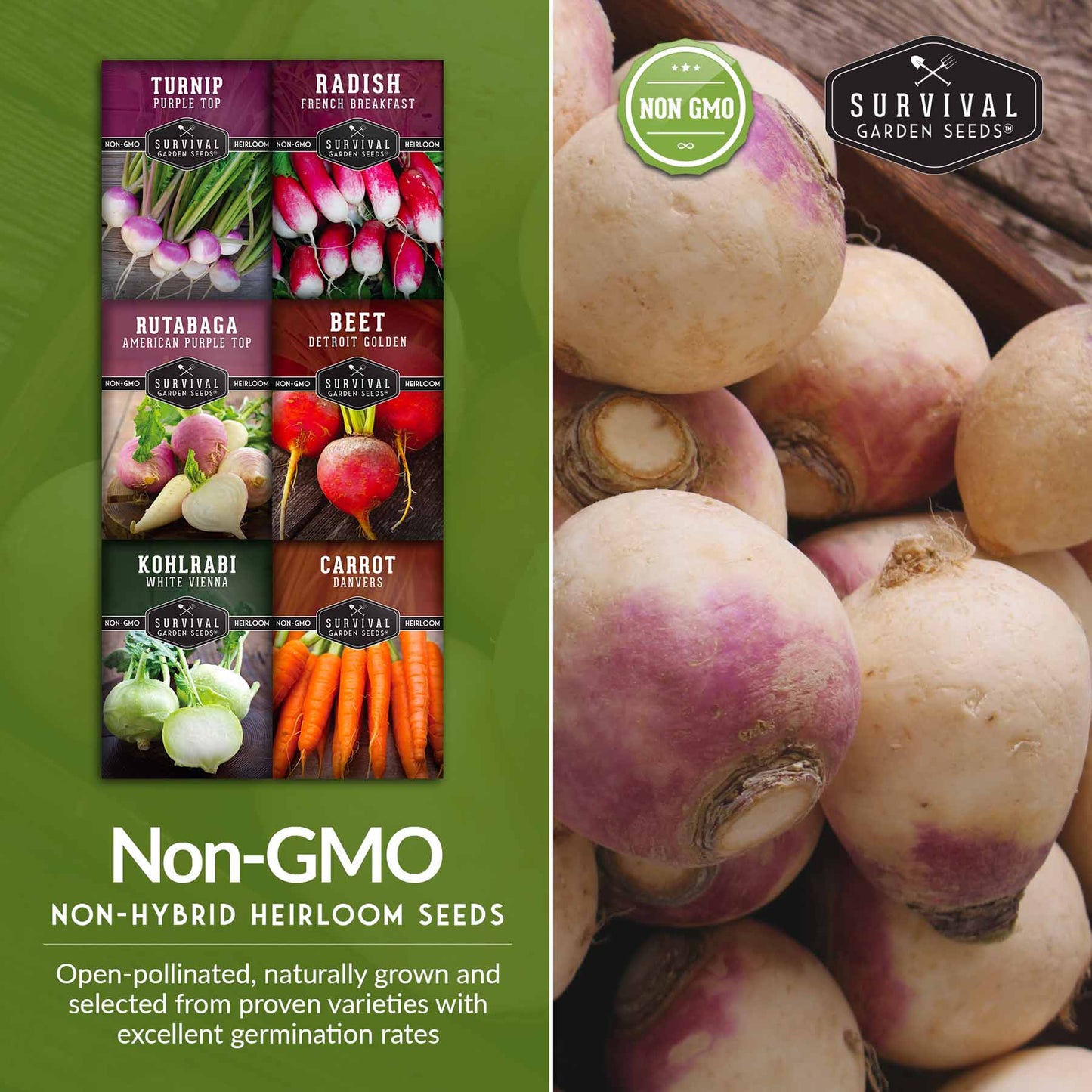 Root Vegetable Seed Collection - Cool Weather Favorites