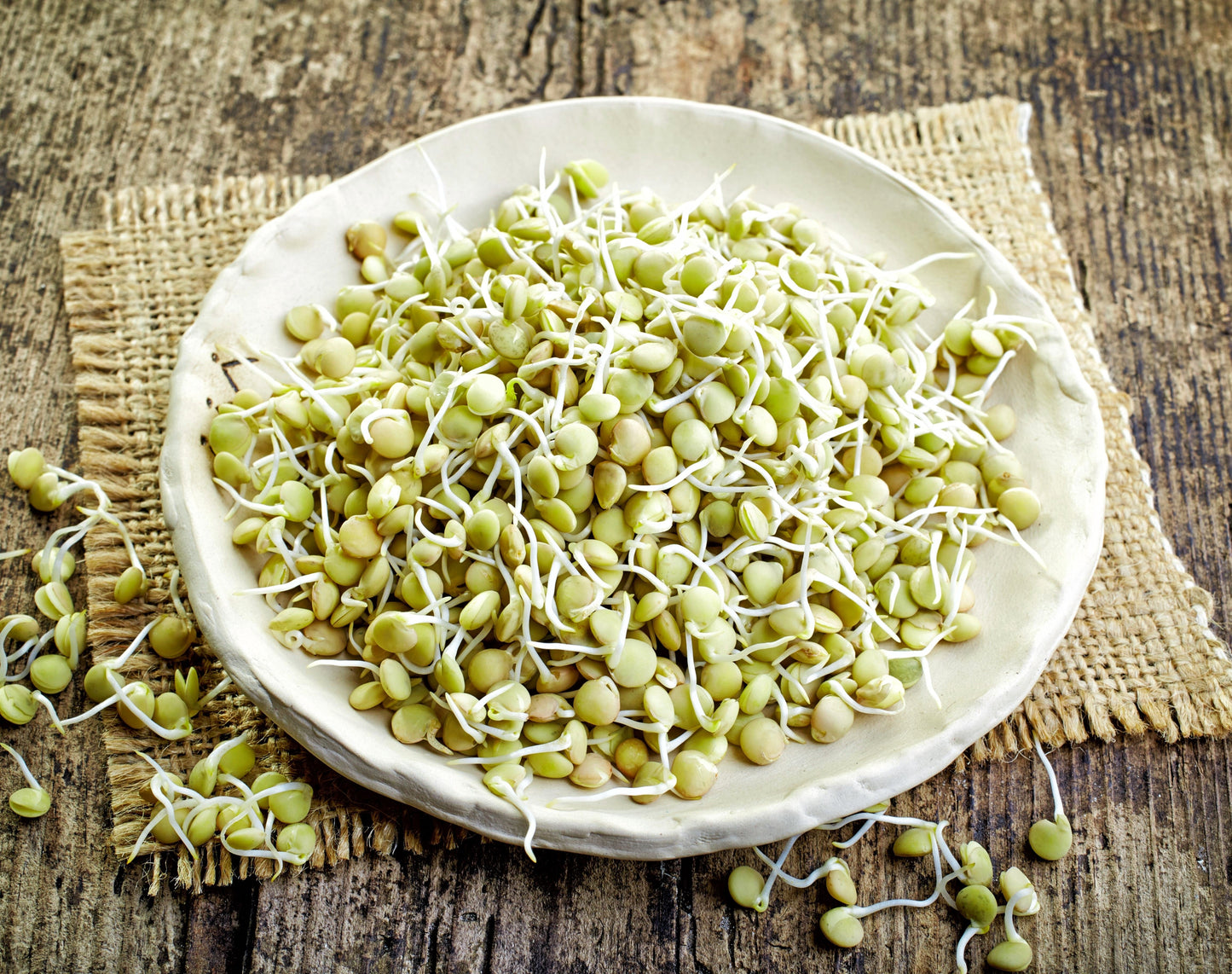 100 Green Lentil(Lens Culinaris)Seeds