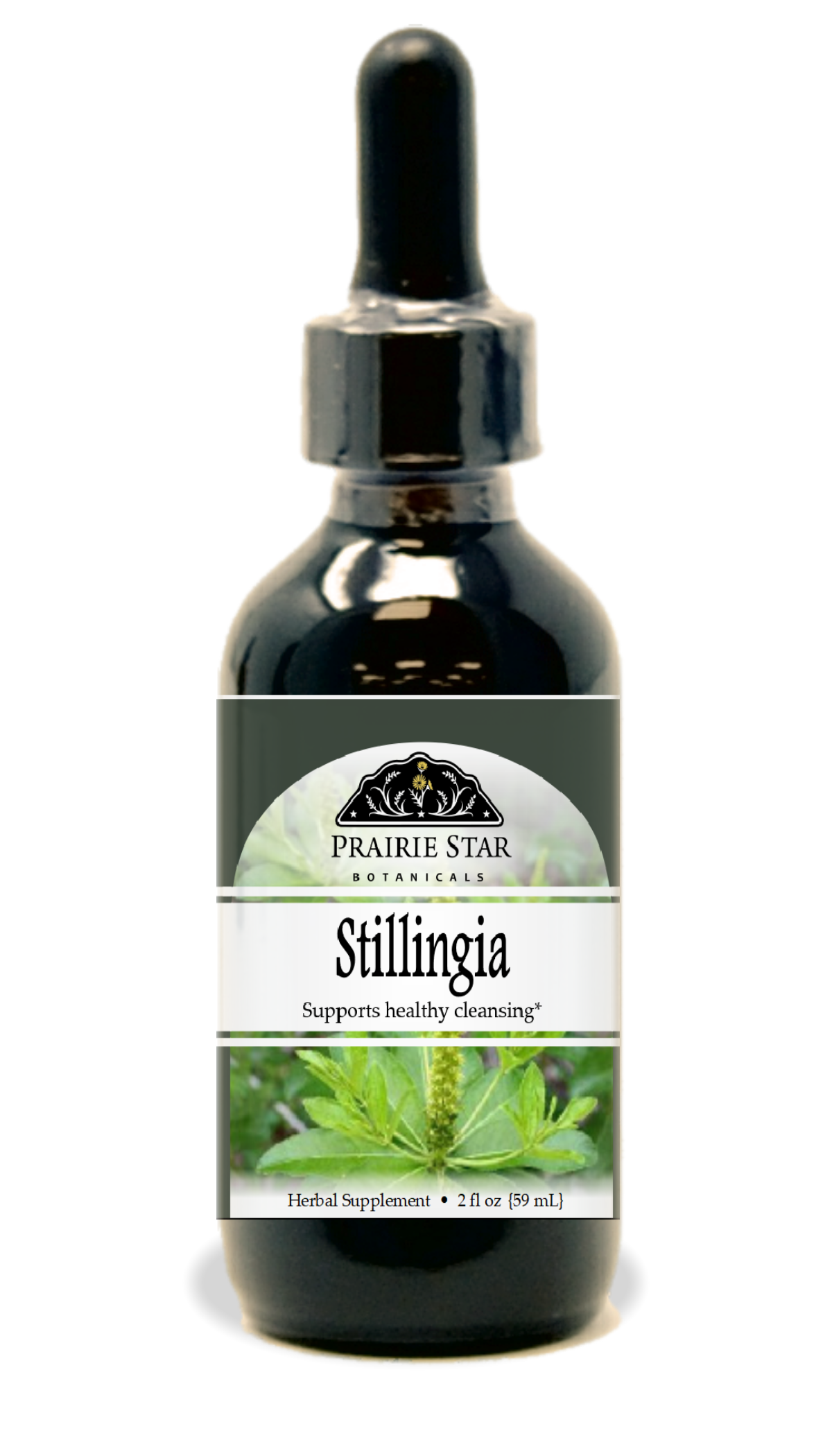 Stillingia Tincture or Glycerite