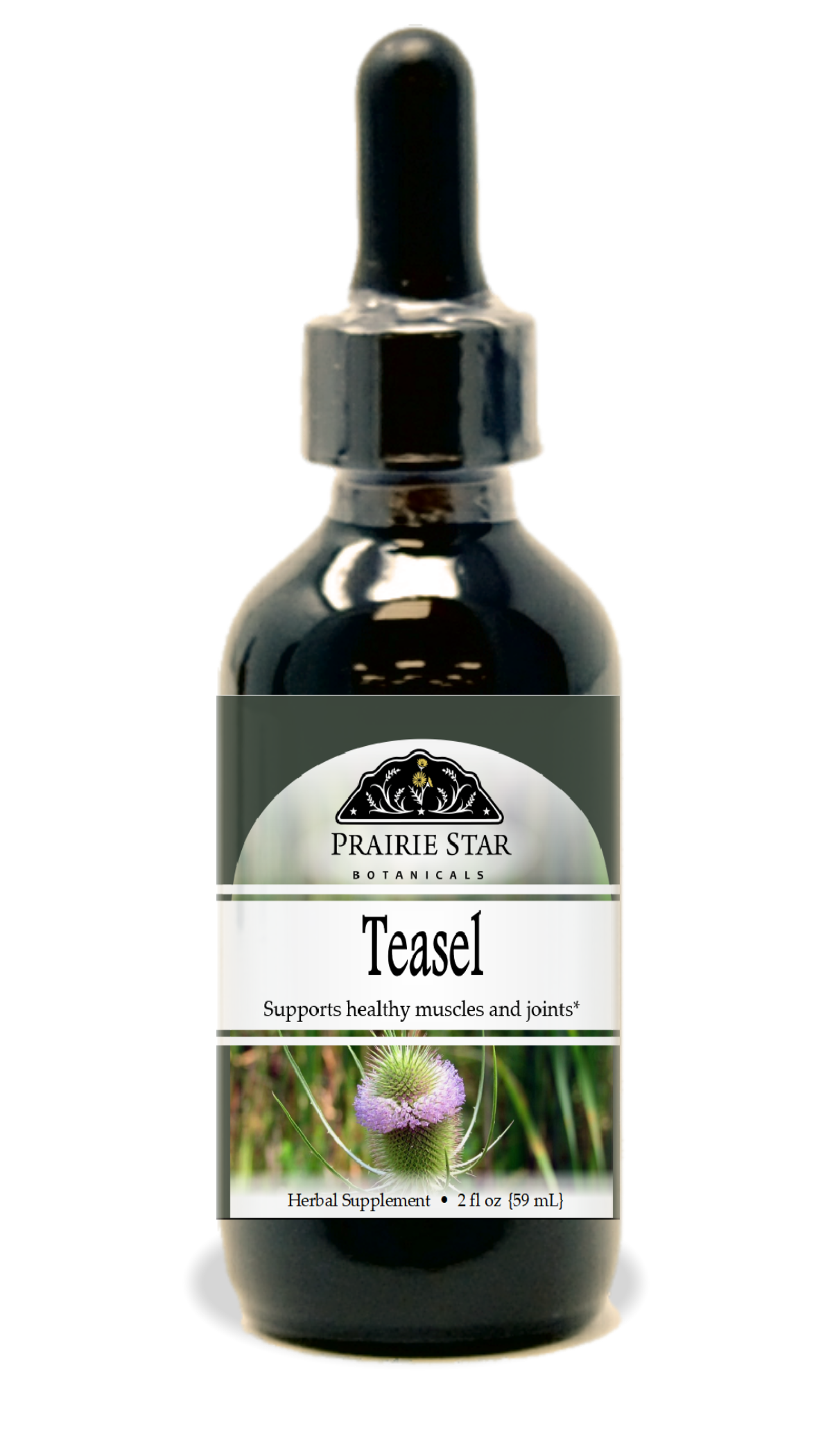 Teasel Tincture