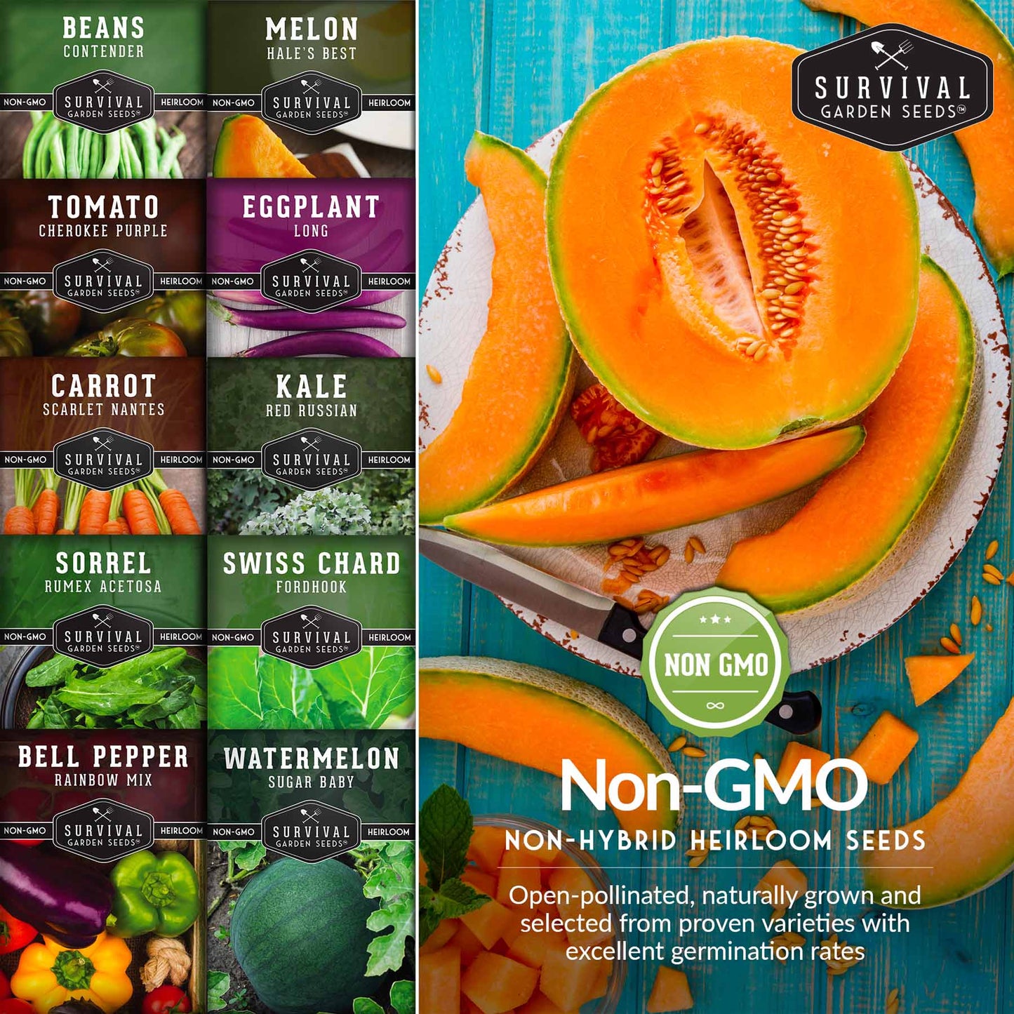 Drought-Tolerant Vegetable Seeds Variety Pack – 10 Heat-Resilient, Full-Sun Garden Favorites for Dry Climate Growing