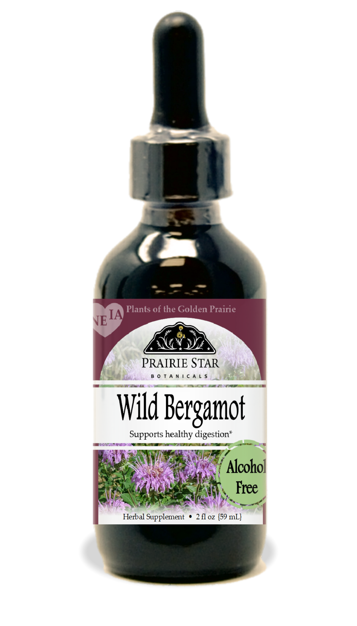 Wild Bergamot Tincture or Glycerite