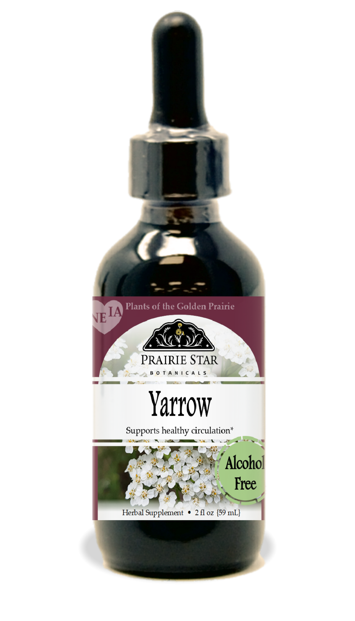 Yarrow Tincture or Glycerite
