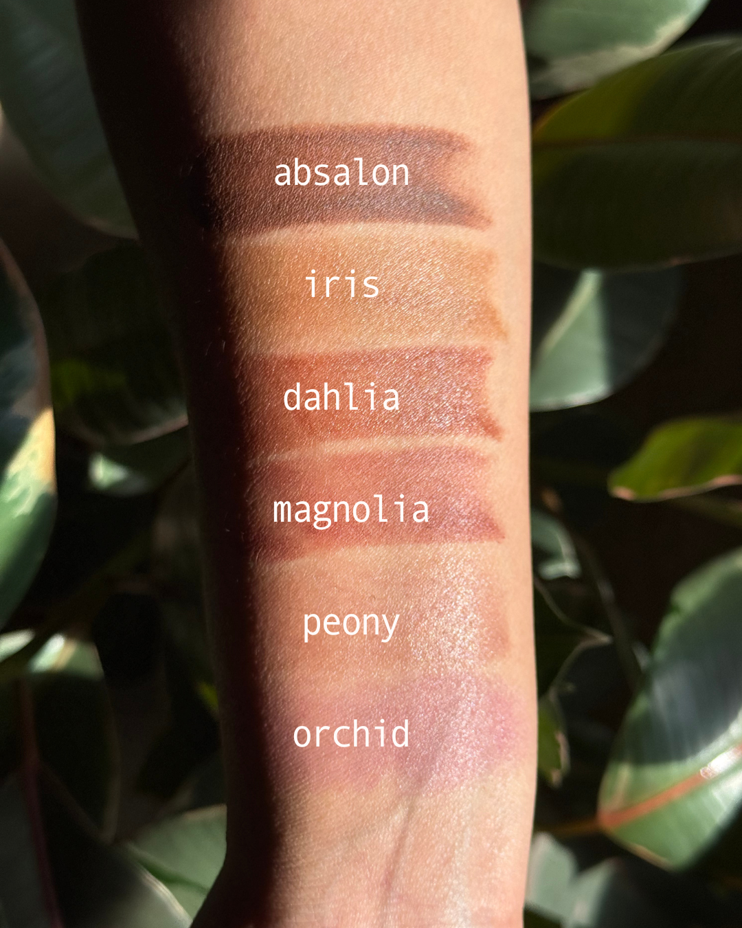 Lip & Cheek Tint