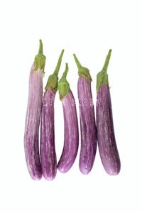 Eggplant-Barish