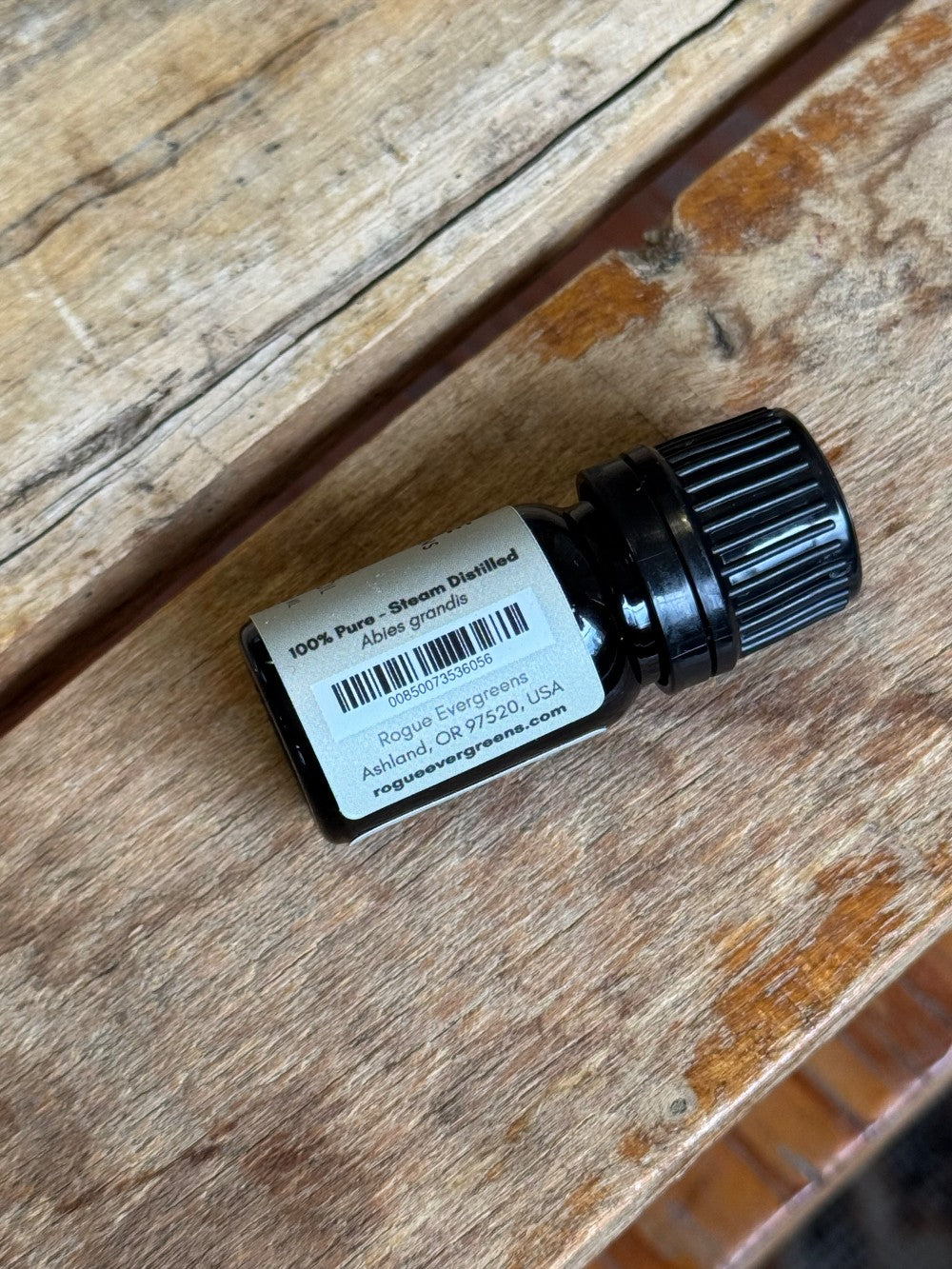Grand Fir Essential Oil