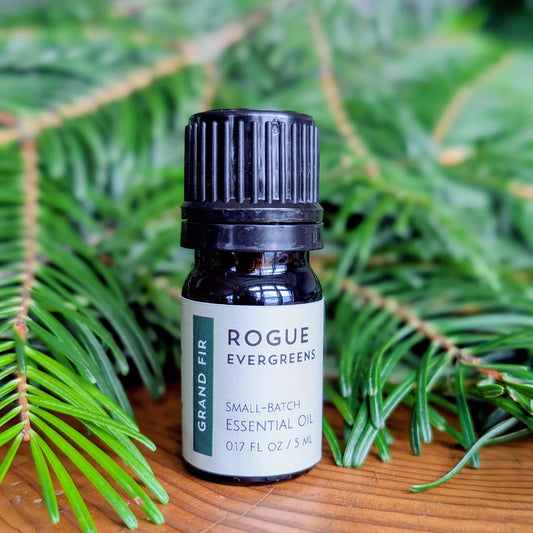 Grand Fir Essential Oil