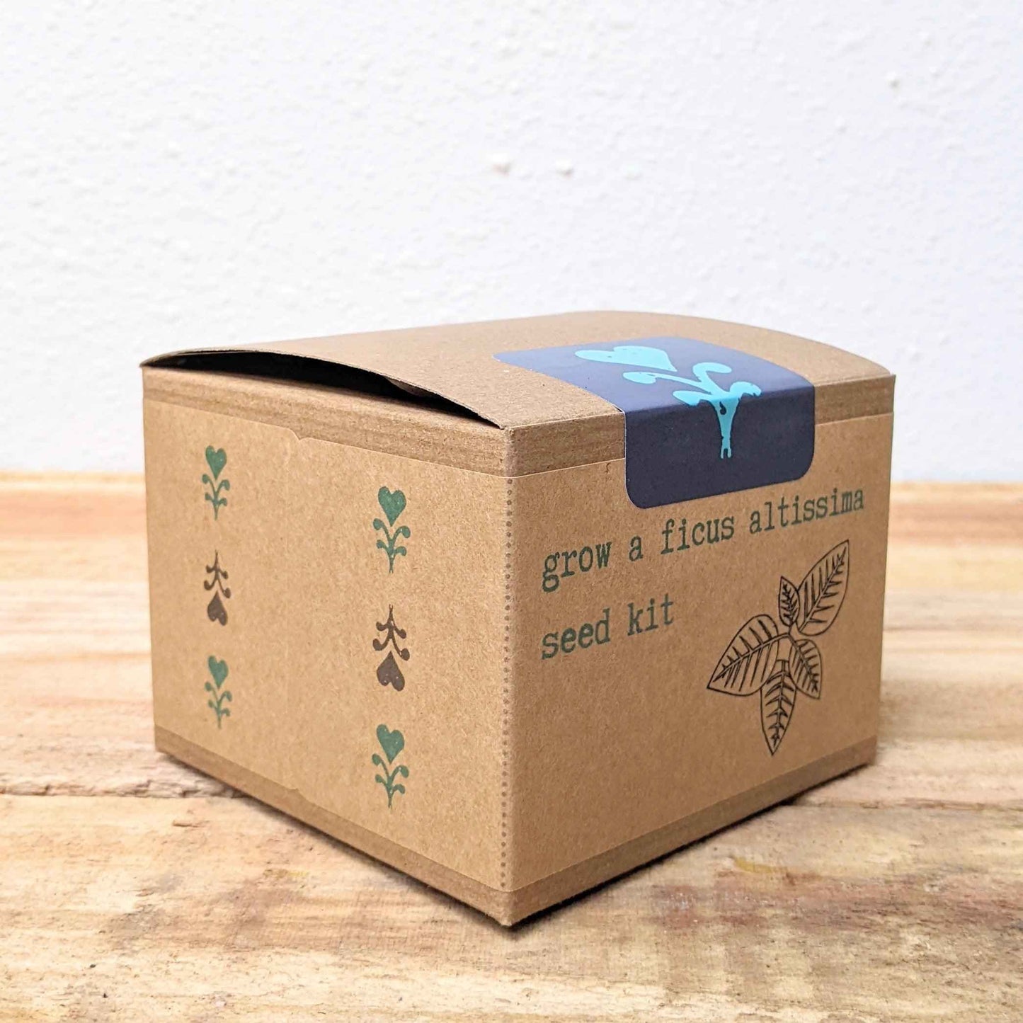 Grow a Ficus Altissima Seed Kit