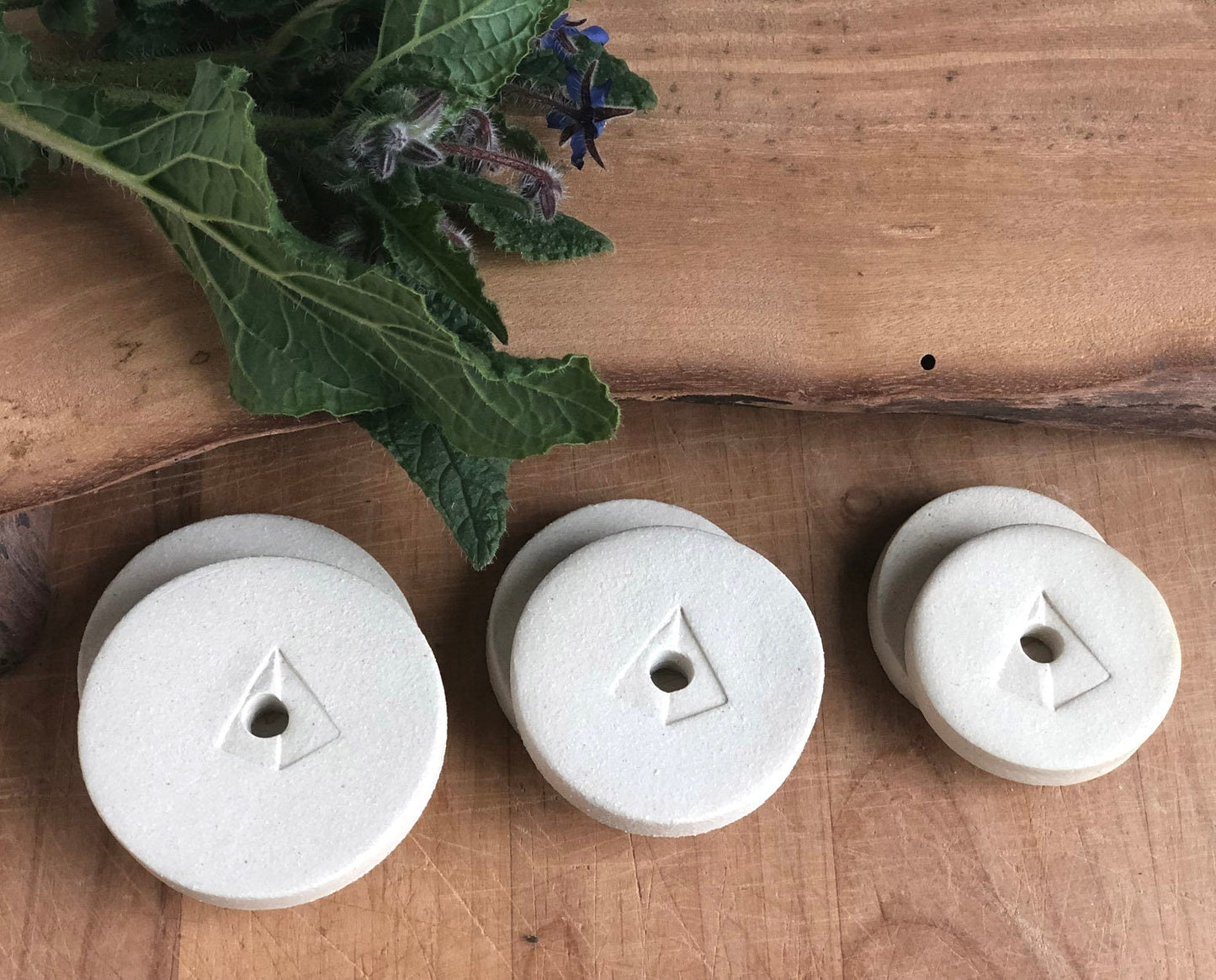 Fermentation Weights Set