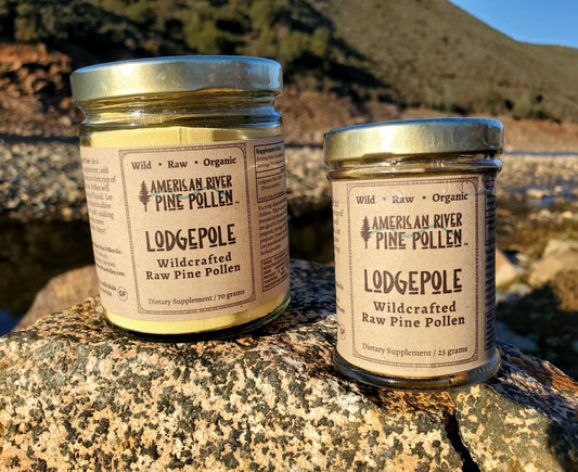 Lodgepole Pine Pollen Electuary