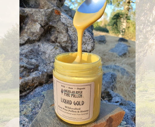 Liquid Gold: Pine Pollen Electuary