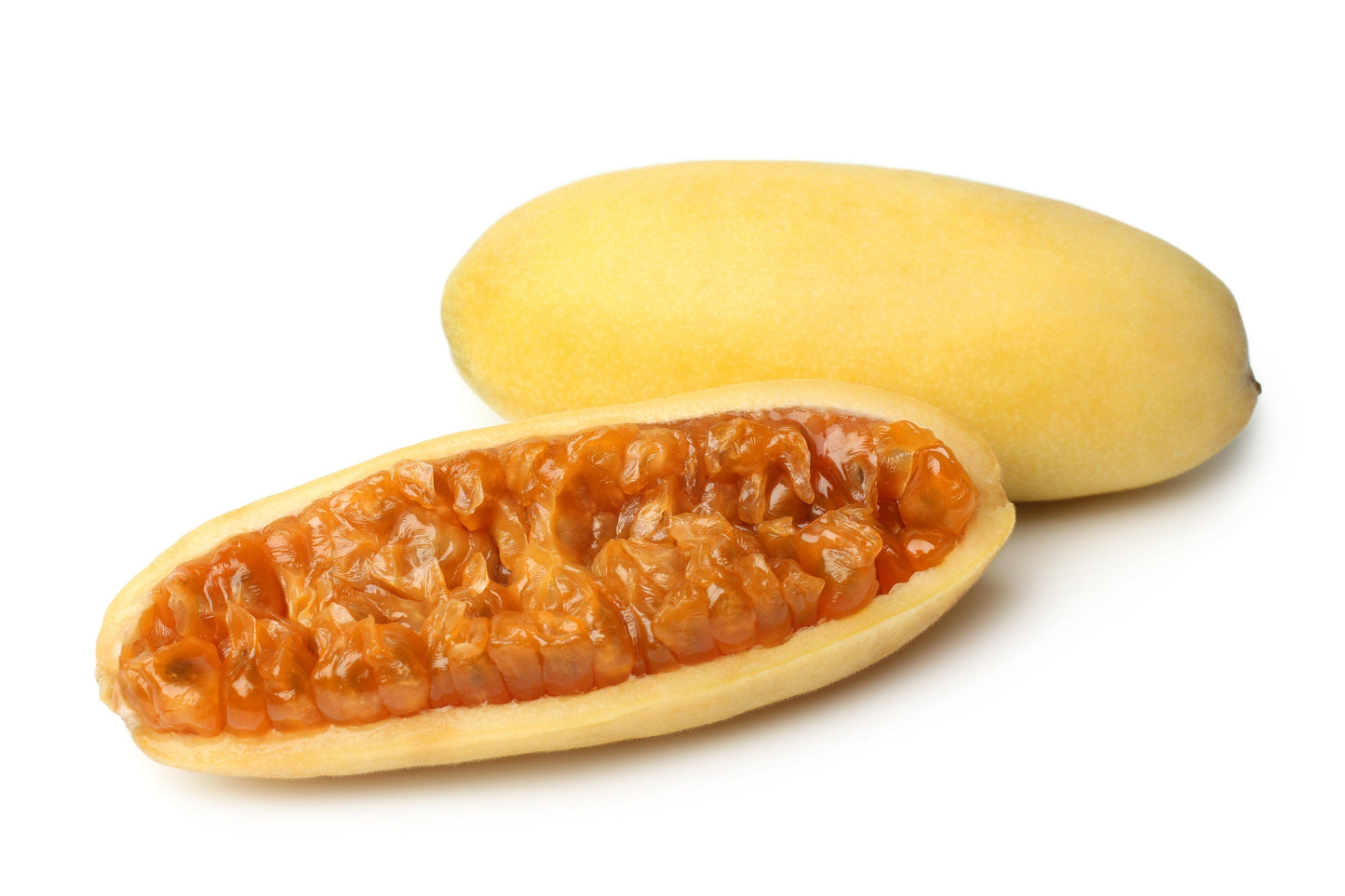 10 Banana Passion Fruit (Passiflora Mollissima) Seeds