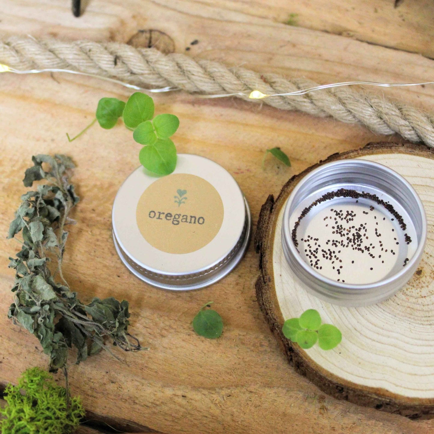 Organic Oregano Seeds