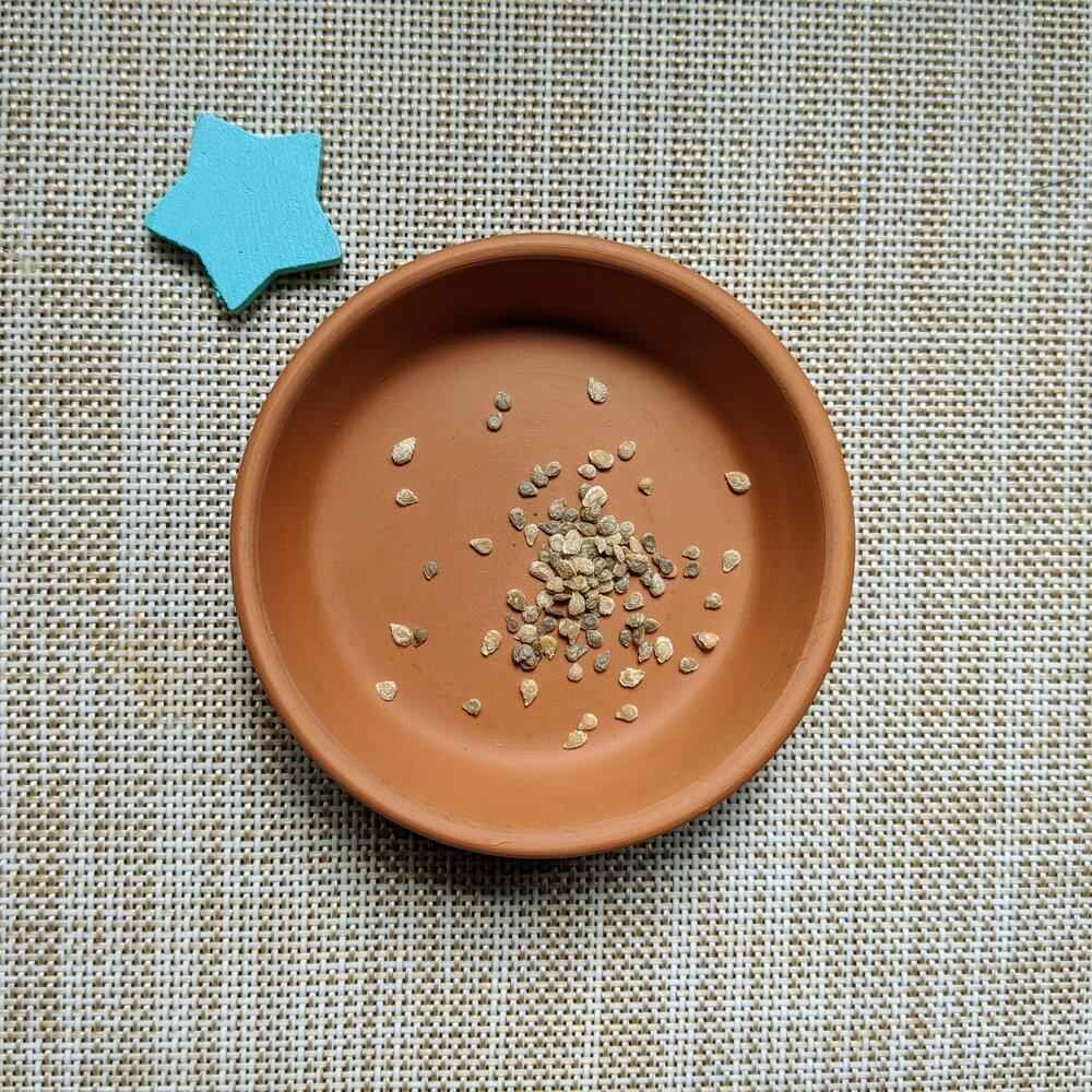 Organic Cherry Tomato Seeds (Sweetie)