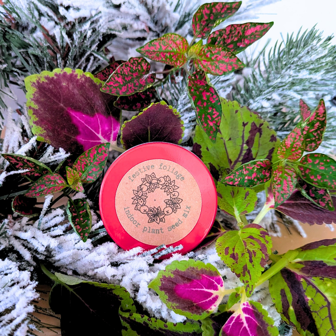 "Festive Foliage" Houseplant Seed Mix