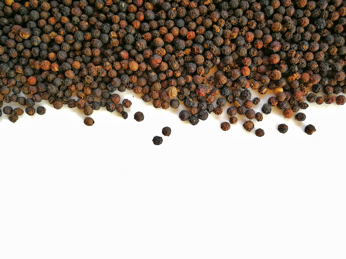 25 BLACK PEPPERCORN Black Pepper Piper Nigrum Spice Vine Seeds