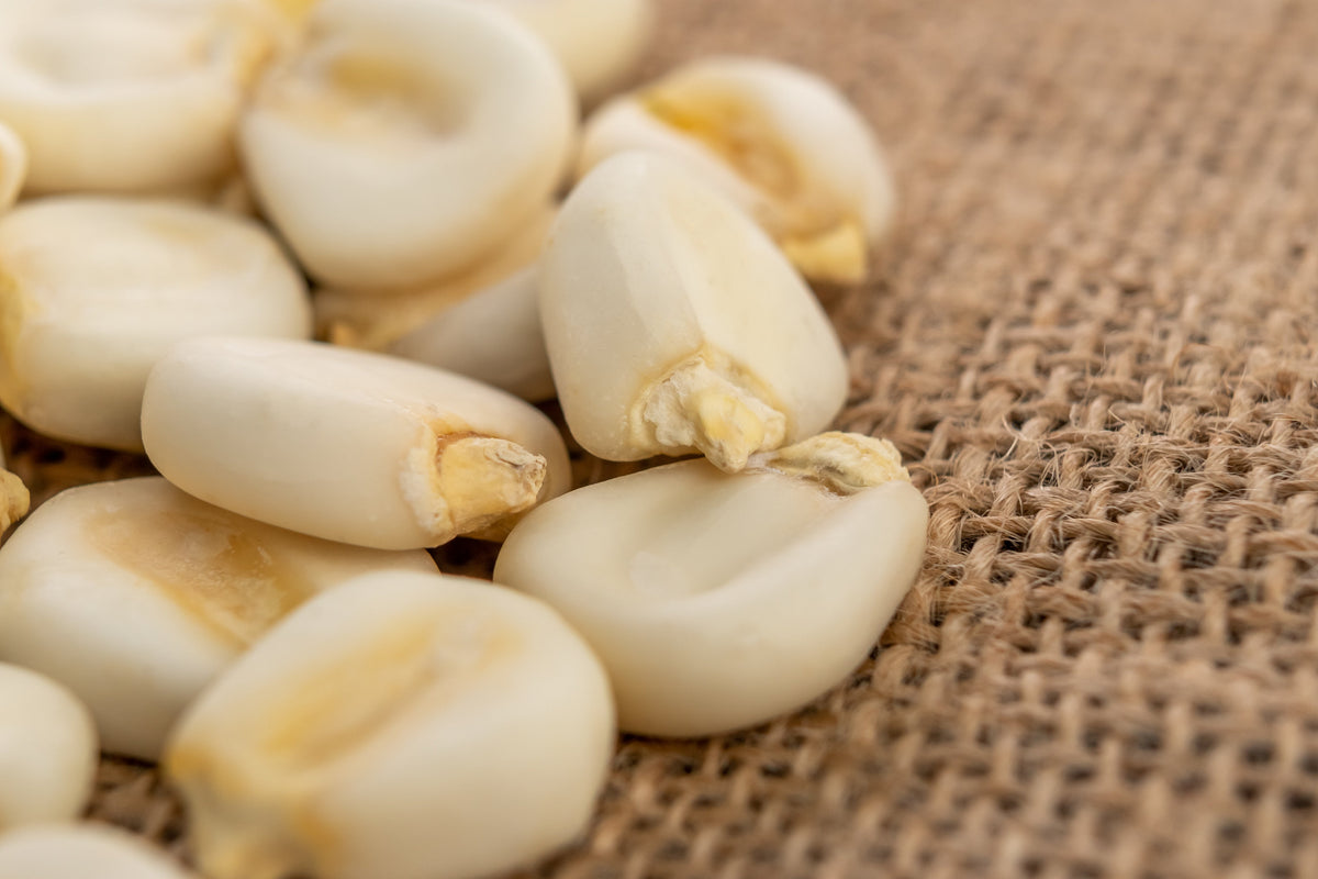Country Gentleman White Sweet Corn (Zea mays) Seeds – 100 ct