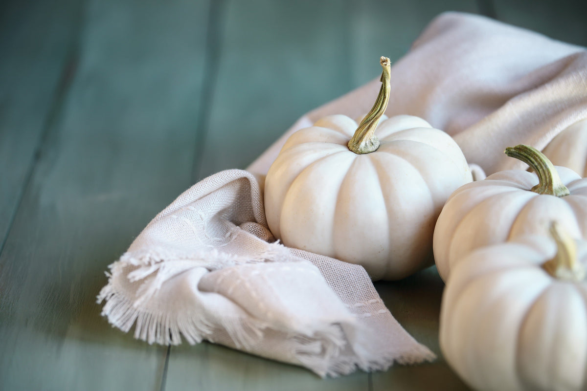 15 WHITE Baby Boo MINI PUMPKIN Miniature Cucurbita Pepo Vegetable Seeds
