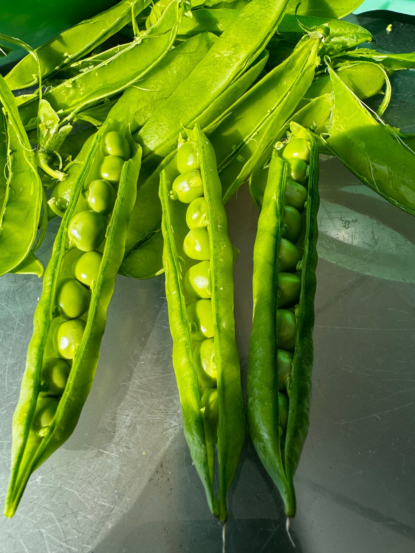 50 Green Arrow Pea (Pisum Sativum) Seeds