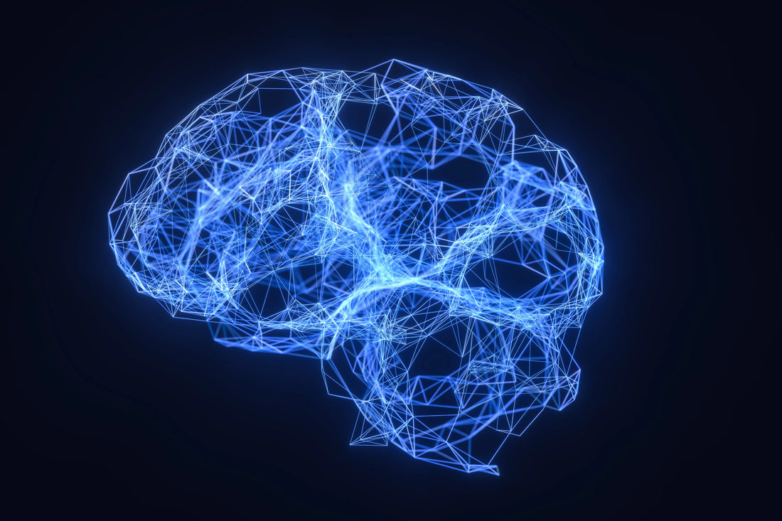 Brain waves and how they impact wellness