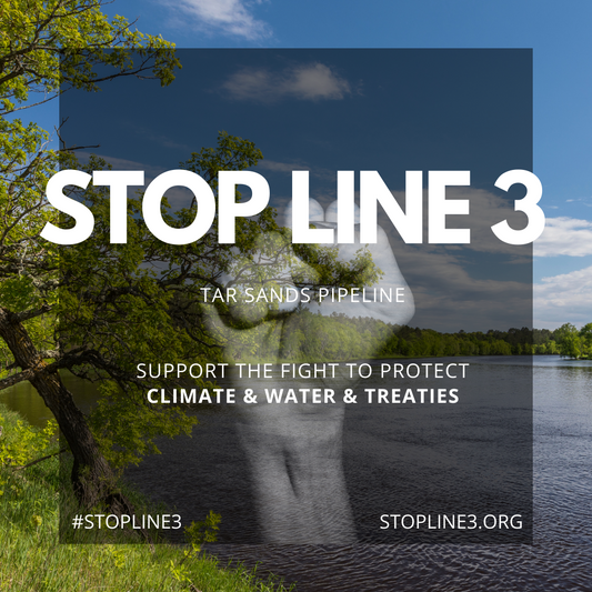 Herbalism as a Practice of Resistance #STOPLINE3