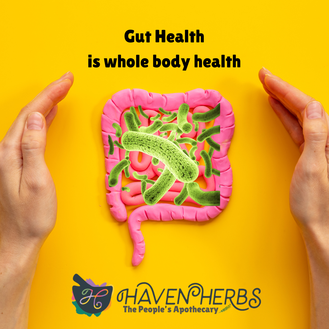Cancer Support Community: Gut Health is Whole Body Health