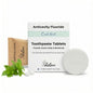 Fluoride Cool Mint Toothpaste Tablets — 1 Month