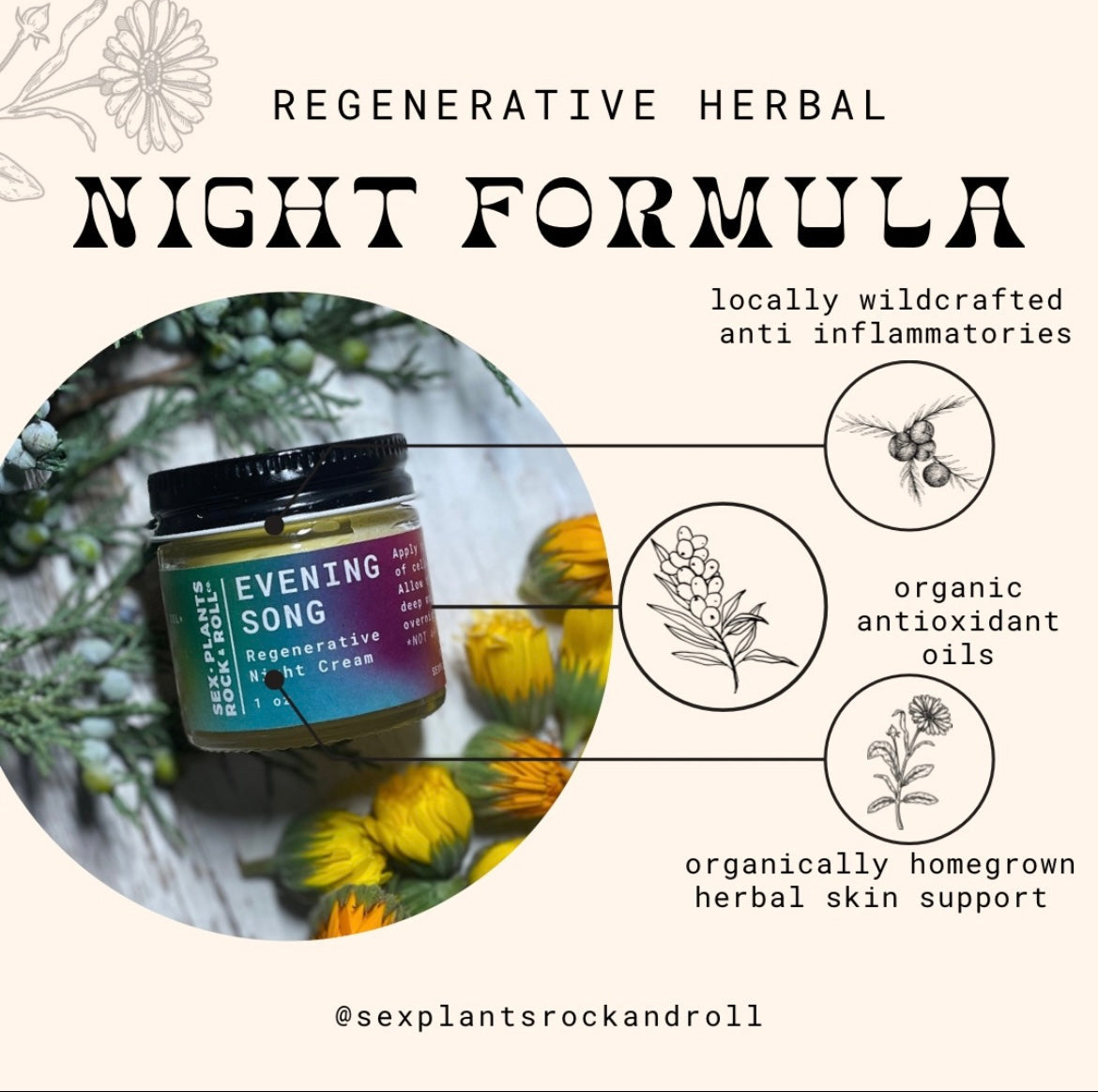 Evening Song - Regenerative Night Cream