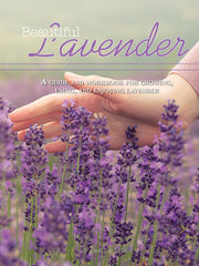 Beautiful Lavender
