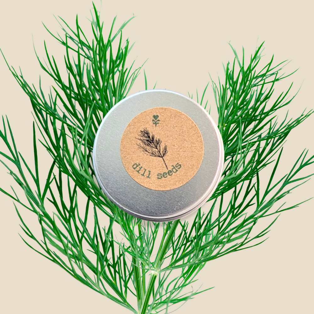 Organic Dill Seeds