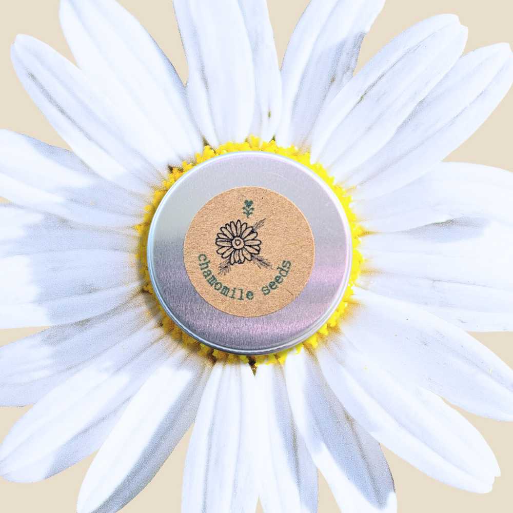 Chamomile Seeds