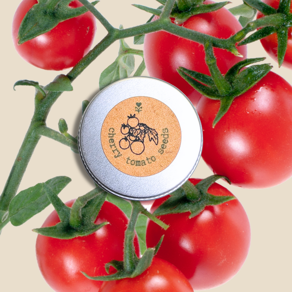 Organic Cherry Tomato Seeds (Sweetie)