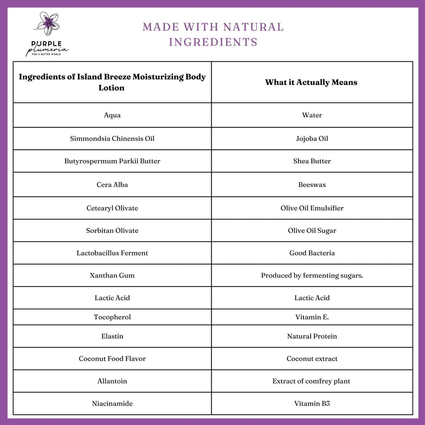 Natural Body Lotion (Rose or Coconut)