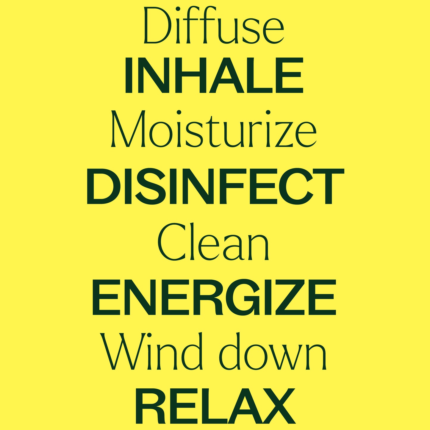 15 & 15 Essential Oil Set with Carrying Case