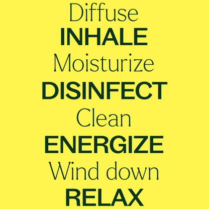 15 & 15 Essential Oil Set with Carrying Case