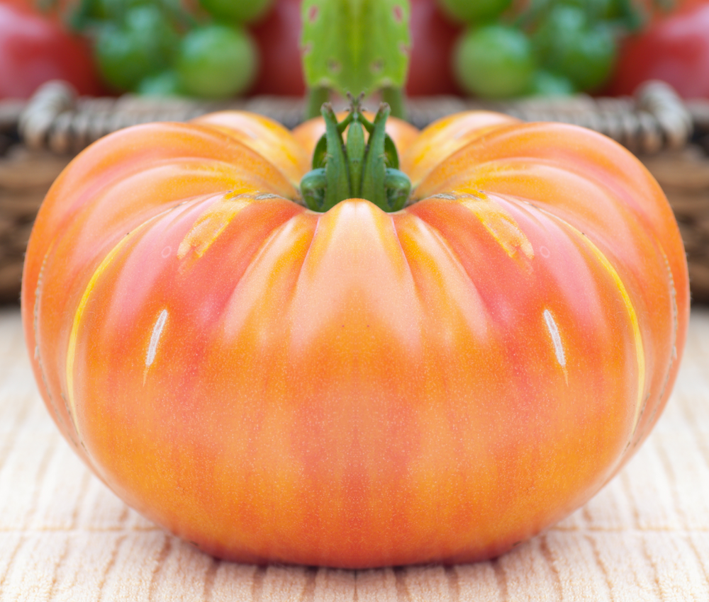 Oaxacan Jewel Tomato (Solanum lycopersicum) Seeds – 50 ct
